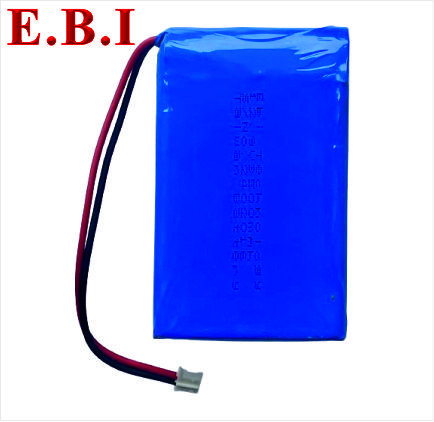 Pin Phao Nhận Dạng AIS HS6