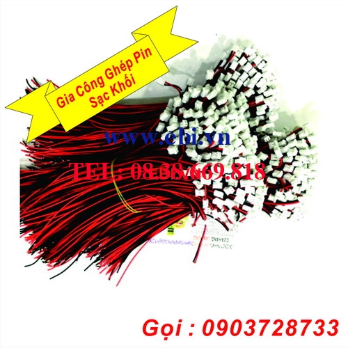 Giắc Cắm Pin 125001-2P