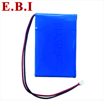 Pin Phao Nhận Dạng AIS HS8A