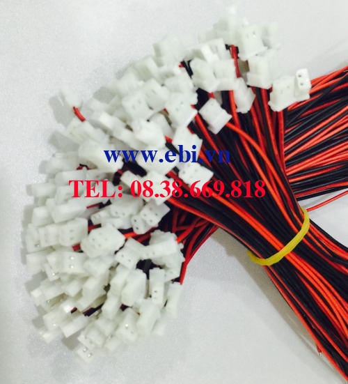 Giắc Cắm Pin 254007-2P