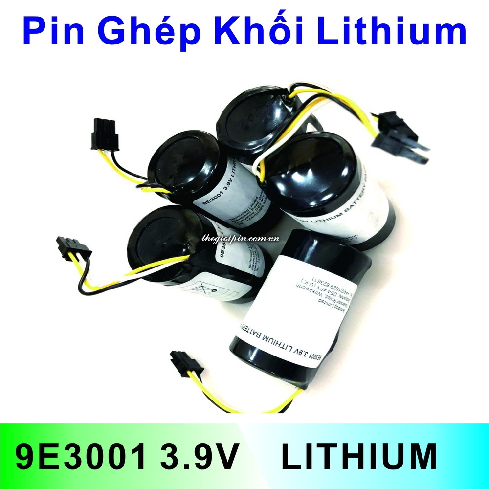 Pin 3.9V Lithium 9E3001 