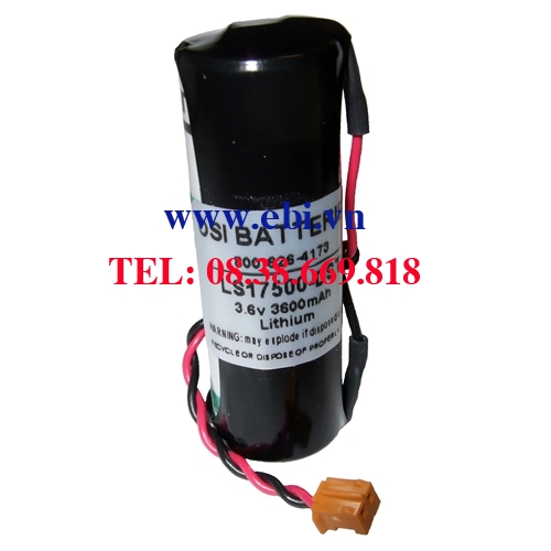 Pin Denso 410076-0260 PLC Battery 3.6V Lithium