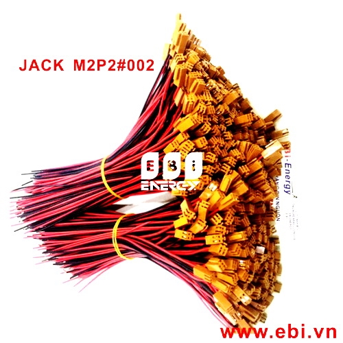 Giắc Cắm Pin 254016-2P