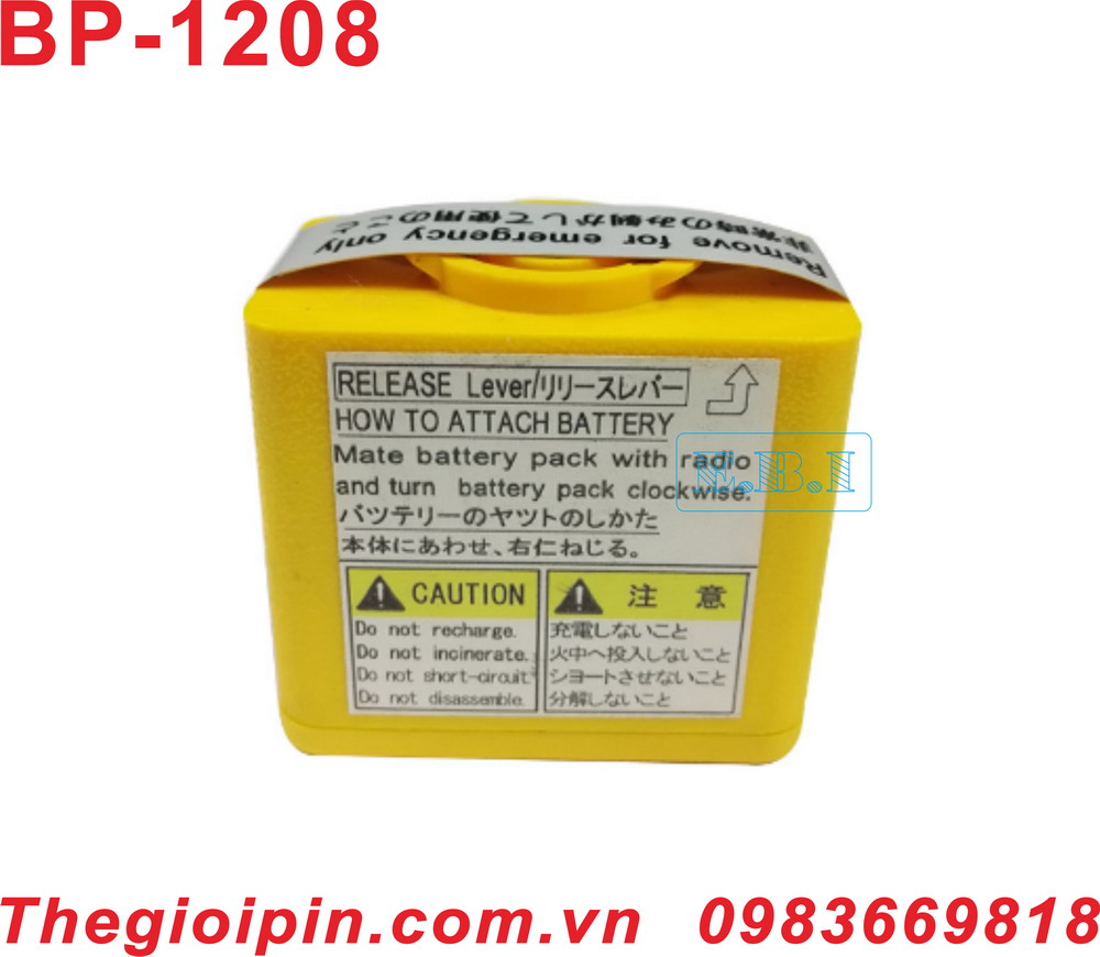 PIN BP1208  Marine Battery