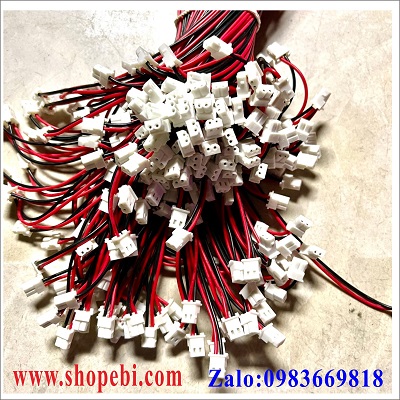 Giắc Cắm Pin 254001-2P
