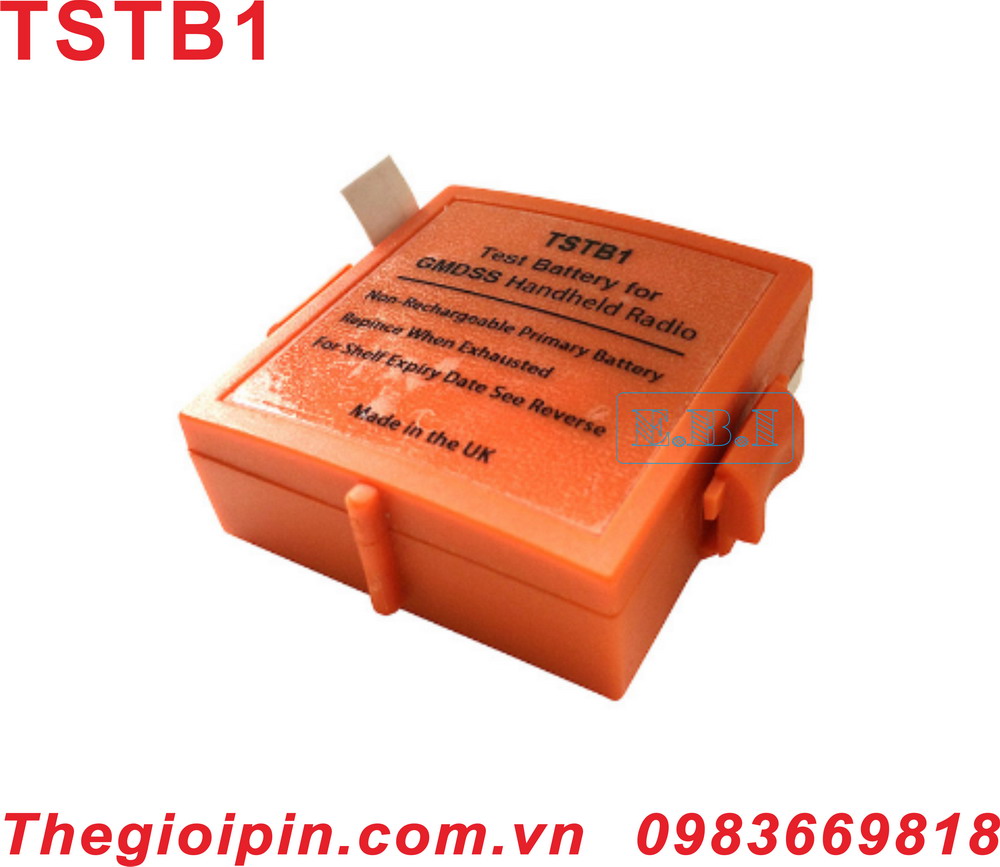 PIN TSTB1 Marine Battery